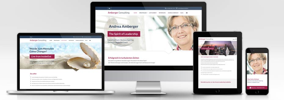 Website Erstellung Amberger Consulting